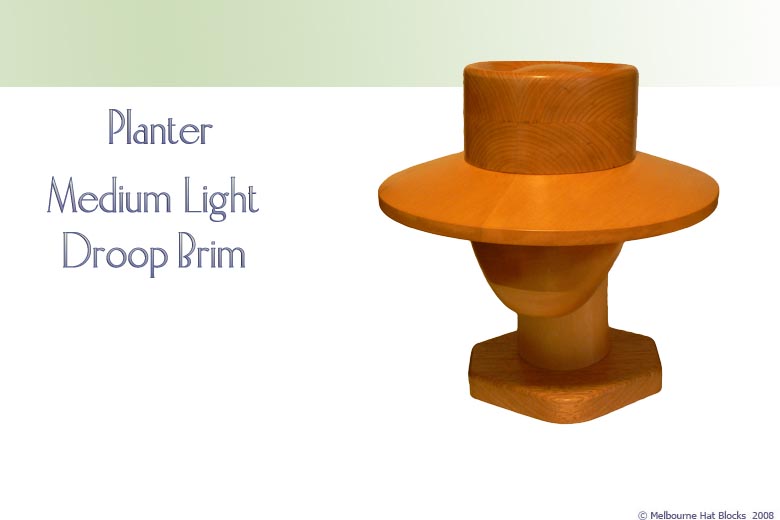 Planter + Medium Light Droop